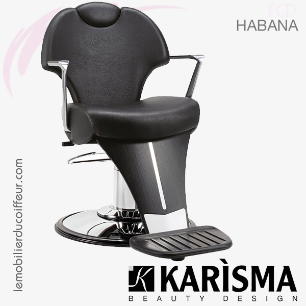 OSmari Fauteuil de barbier Salon de Coiffure Barbiers Chaise esthétique  beauté barbier Professionnel Chaise Pivotante à 360°,Gris