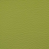 Vert (119)