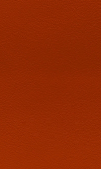B44