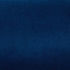 Bleu (V21)